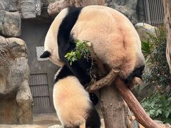 -香港海洋公园