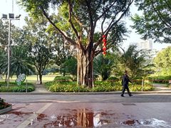 -东风公园