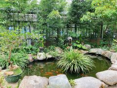 -罗浮山·罗园农庄