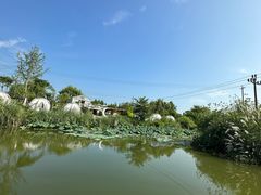 -桤木河湿地公园