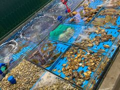 -双合园·海鲜水饺青岛菜(九水东路店)