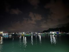 -蓝湾碧波·老字号·疍家非遗海上餐厅