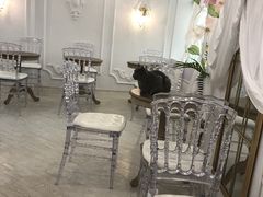 大堂-共舞时光猫咖·狗咖(新街口店)