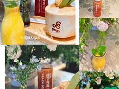 -gaga(深圳福田星河COCO Park店)