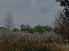 -野鸭湖国家湿地公园