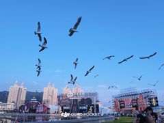 -星海广场