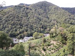 -十里琅珰