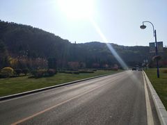 -棒棰岛宾馆景区
