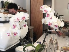 -LAB COFFEE来杯咖啡(浦仓路店)