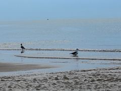 -那香海钻石沙滩浴场