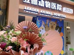 -立德24H动物医院·夜诊·转诊中心·1.5T核磁共振(海珠店)