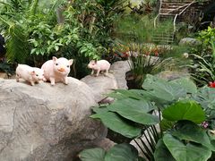 -北京植物园-展览温室