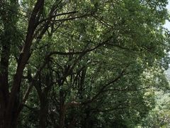 -缥缈峰景区