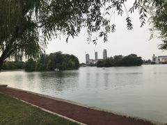 -莱西月湖公园