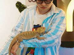 -喵园·猫主题咖啡厅·撸猫·猫咖(国贸店)