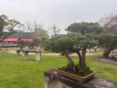 -江心屿景区