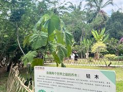 -中国科学院西双版纳热带植物园