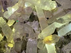 -湖南省地质博物馆