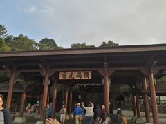 -金盆阿嬷香菇茶叶蛋(玄光店)