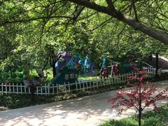 -南山植物园