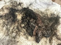 -御面斋精品面馆