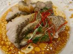 -金玛国宾酒店-自助西餐厅