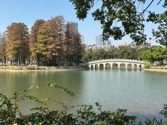 -四海公园(南山区)
