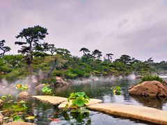 -罗红摄影艺术馆