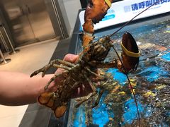 -盒马鲜生(莱蒙都会店)