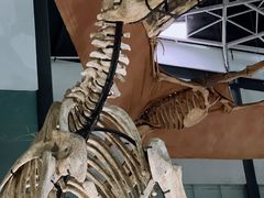 -湖南省地质博物馆