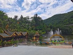 -西双版纳原始森林公园
