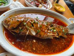 -曾牛肉