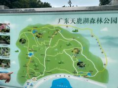 -天鹿湖森林公园