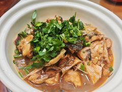 -小小饭店·休闲农庄·安吉松树林里的农家菜