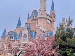 -上海迪士尼度假区