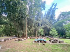 -南宁良凤江国家森林公园