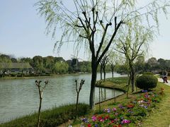 -上海鲜花港