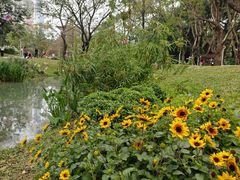 -人民公园(罗湖区)