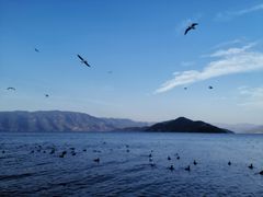 -丽江泸沽湖景区