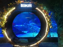 -沈阳海洋探索中心