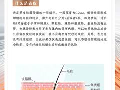 -上海明天广场JW万豪酒店