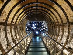 -乐山乌木文化博览苑