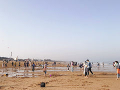 -刘家湾赶海园