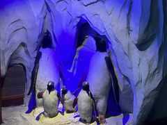 -太平洋海底世界