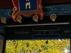 -北京国子监胡同