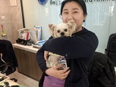 -北京派仕佳德动物医院·超导核磁·CT·神经科·骨科·内外科·急重症管理中心