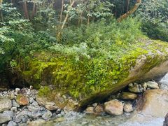 -陕西省红河谷森林公园