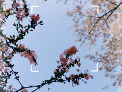 -昆山城市公园