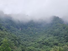 -青城山