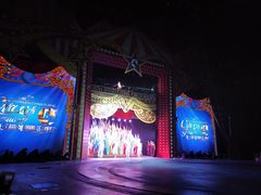 -珠海横琴长隆《卡卡虎奇遇记》